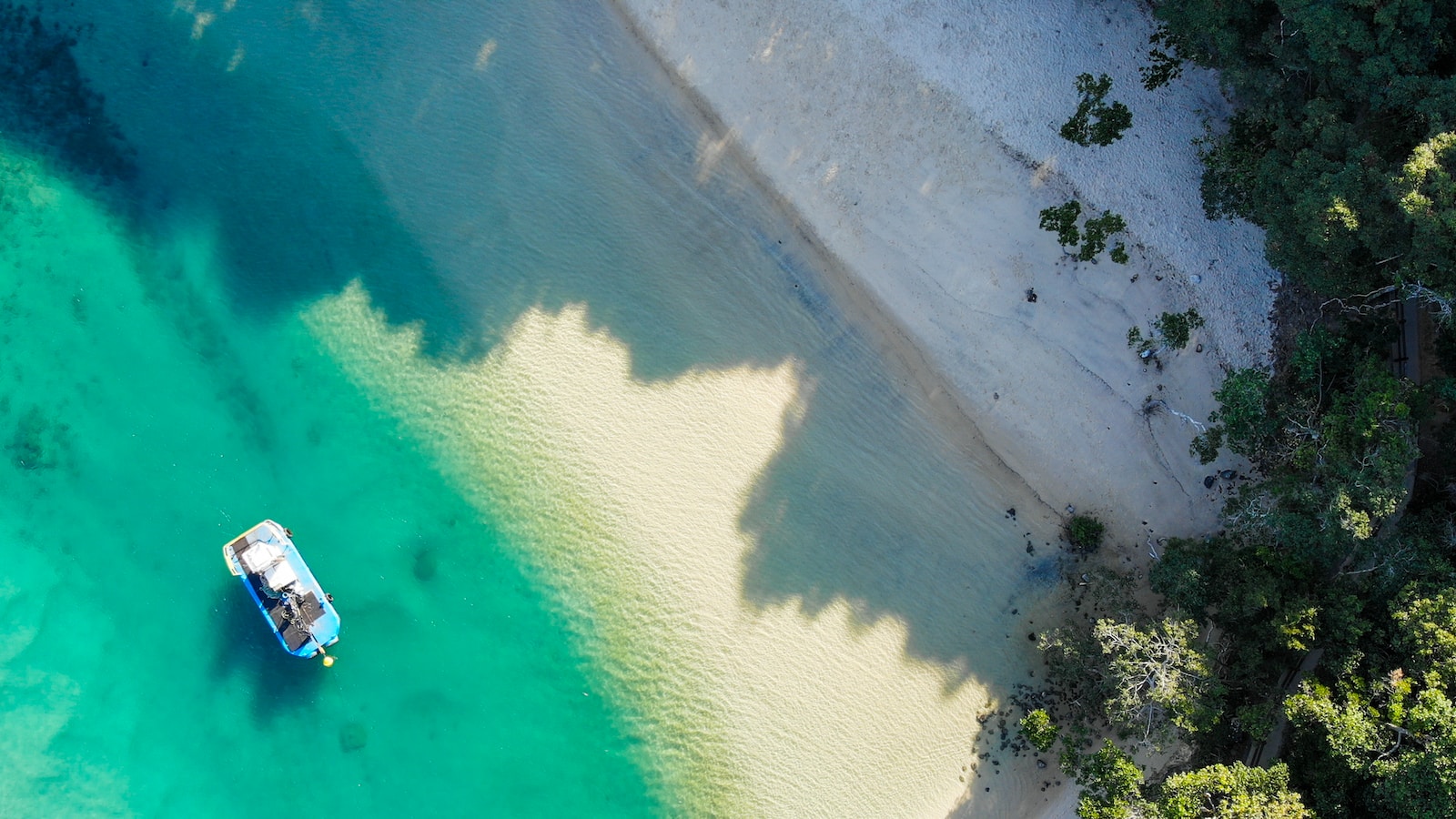 bird's-eye view of boat near seashore